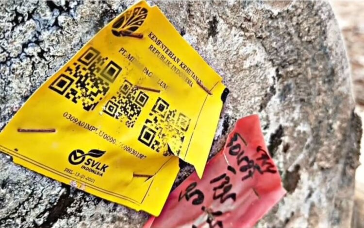 Label SVLK (Sistem Verifikasi Legalitas Kayu) dengan nama PT Minas Pagai Lumber terlihat menempel pada salah satu kayu yang diduga menjadi bagian dari muatan tongkang yang terdampar di perairan Lampung. Label ini umumnya digunakan sebagai penanda legalitas asal kayu dan dokumen rantai pasok dalam industri kehutanan Indonesia. (Foto: Dok. Istimewa)