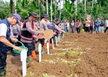 Pemakaman massal korban bencana di Kabupaten Agam. [Dok. Antara]