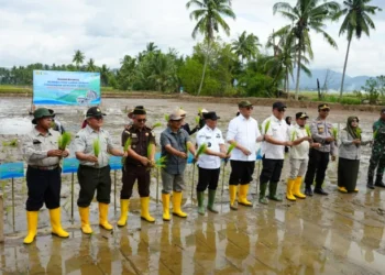 Aksi penanaman bibit serentak yang terhubung secara daring dengan Provinsi Aceh dan Sumatera Utara, di Kabupaten Solok, Sumbar, Kamis, 15 Januari 2026/Dok. Diskominfotik Sumbar