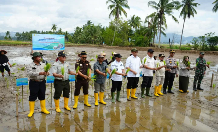 Aksi penanaman bibit serentak yang terhubung secara daring dengan Provinsi Aceh dan Sumatera Utara, di Kabupaten Solok, Sumbar, Kamis, 15 Januari 2026/Dok. Diskominfotik Sumbar